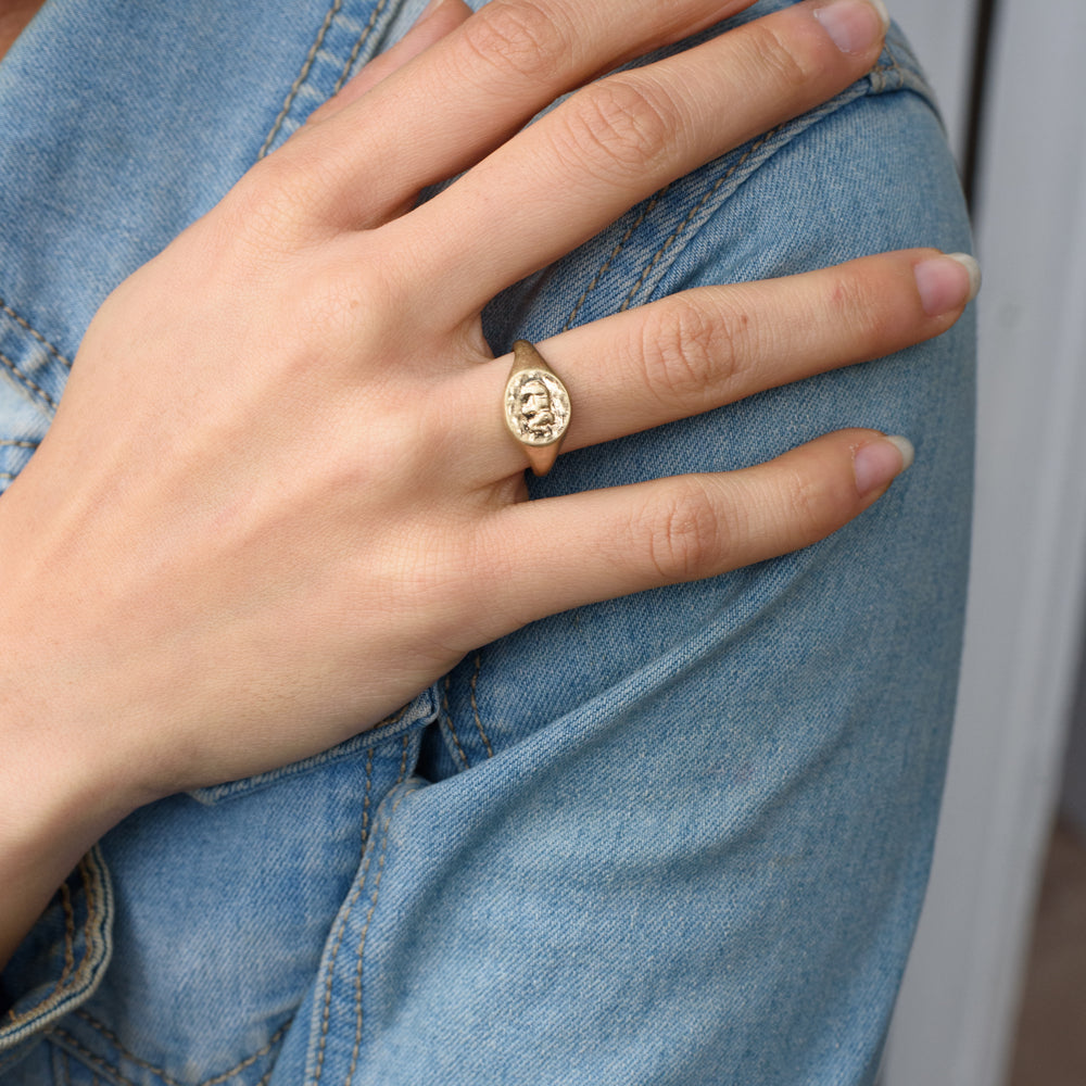 The Guardian of Wisdom Ring exudes timeless elegance and strength with its vintage-inspired design. Featuring an intricate elephant relief at its center, this signet ring symbolizes wisdom, protection, and resilience. Its antique finish evokes the feel of a cherished heirloom, like a treasure rediscovered in a forgotten attic. The elephant, a symbol of knowledge and family protection, serves as a reminder of strength through wisdom, making this ring a meaningful keepsake and statement piece for any jewelry 